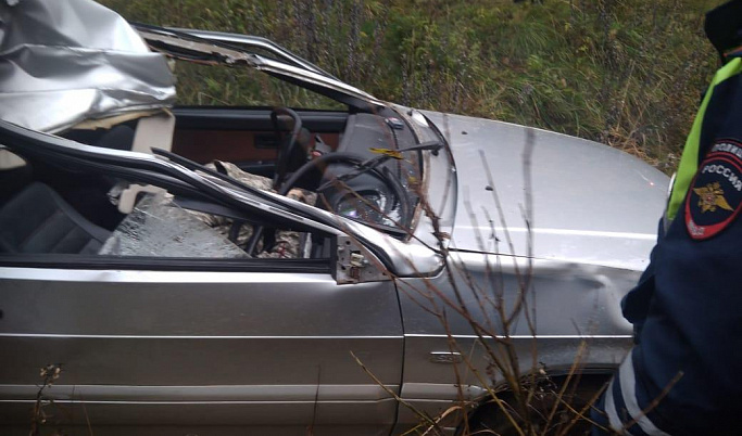 В Тверской области водитель «ВАЗа» погиб, врезавшись в лося