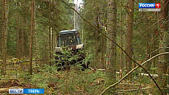 В Управлении УВД Тверского региона обсудили защиту лесного фонда