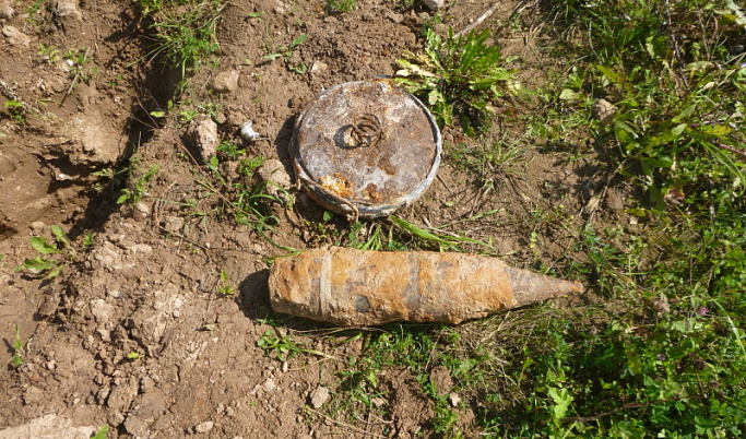 Взрывоопасные предметы обнаружили и обезвредили в Тверской области