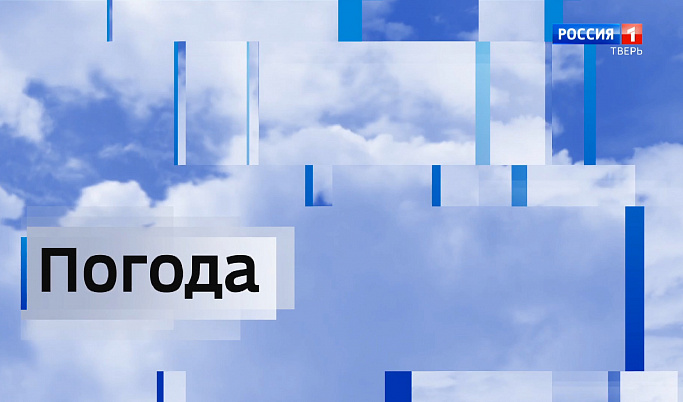 Пасмурная погода продержится в Тверской области до конца недели 