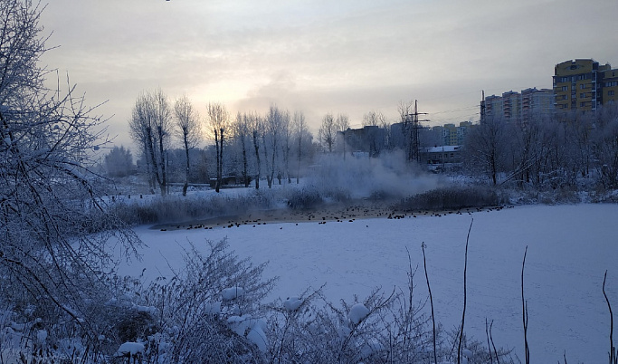 Жителей Тверской области предупредили о сильном ветре с метелью