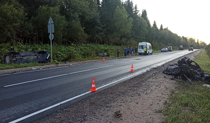 Водитель погиб в результате ДТП в Кувшиновском районе