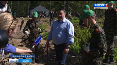 Тверская область принимает участие в акции «Живи, лес!»