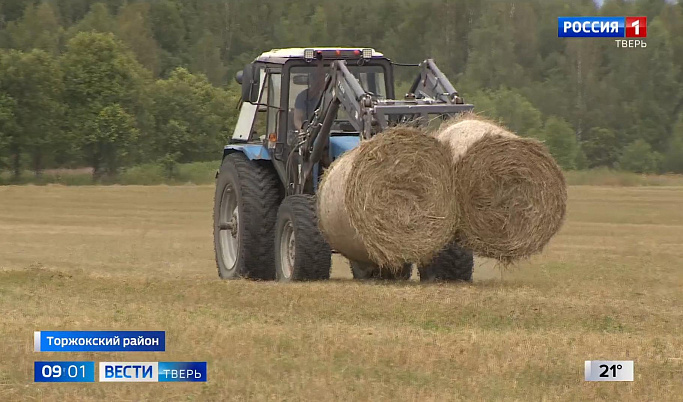 Кампания по заготовке кормов полным ходом идет в Тверской области