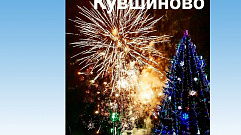 Новогодняя ель из Кувшиново заняла третье место во всероссийском конкурсе