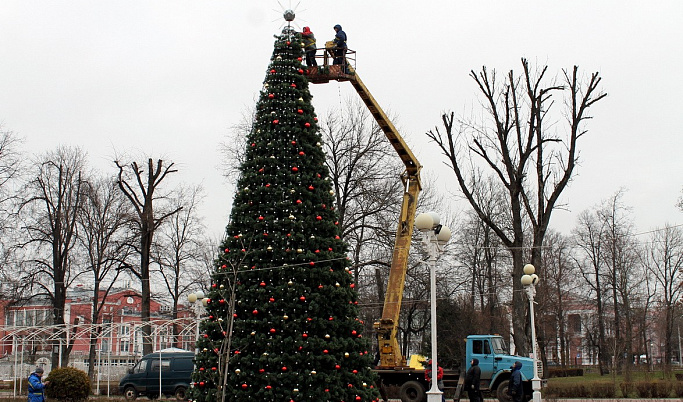 В Городском саду Твери появилась 14-метровая новогодняя ель