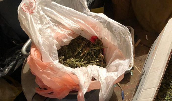 Житель Тверской области хранил дома более 8,5 кг растительного наркотика
