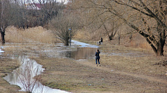 На трех реках в Тверской области ожидается изменение уровня воды 