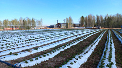 В Тверской области реализуются новые инвестпроекты в сфере агротуризма