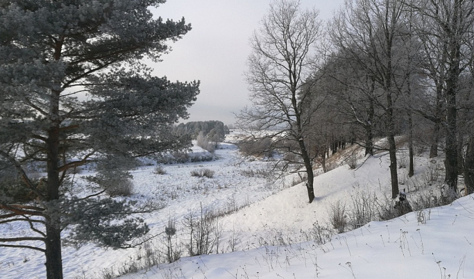 Спортивный праздник устроят в День снега в Тверской области