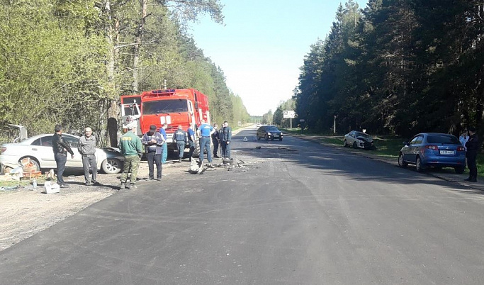 Два человека погибли и трое в больнице в результате ДТП в Осташковском районе