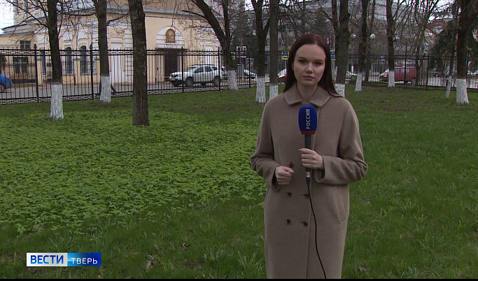 Жителей Тверской области перед майскими праздниками предупреждают о клещах