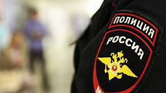 Полицейские задержали в Тверской области дачного вора