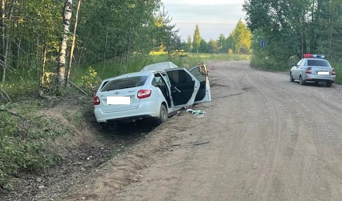 В Тверской области «Лада» вылетела в кювет, пострадал пассажир