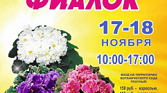 Тверской ботанический сад приглашает жителей города на выставку фиалок