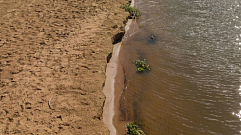 В Конаково состоится экологическая акция «Чистый берег»
