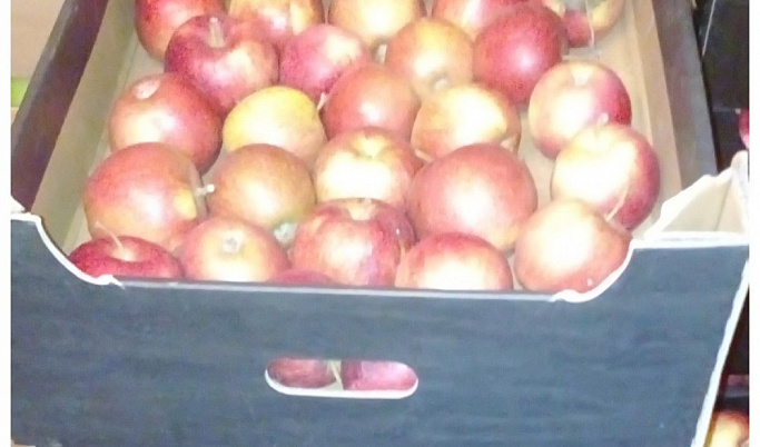 В Кимрах торговали яблоками неизвестного происхождения