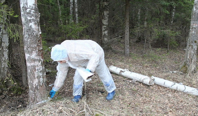 Вакцину против бешенства диких животных раскладывают в лесах Тверской области