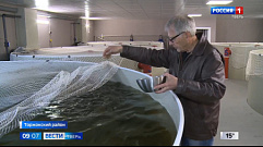 В Торжке успешно развивают предприятие по выращиванию форели и лосося