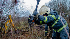 Сотрудники МЧС провели расчистку бобровых плотин в Тверской области