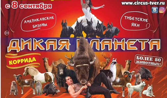 Тверской цирк приглашает жителей города на «Дикую планету»
