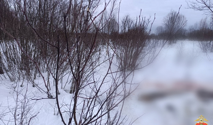 В Вышневолоцком округе 61-летний браконьер застрелил двух лосей