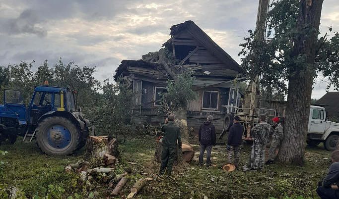 Из-за упавшего дерева семья в Тверской области три недели жила без крыши над головой