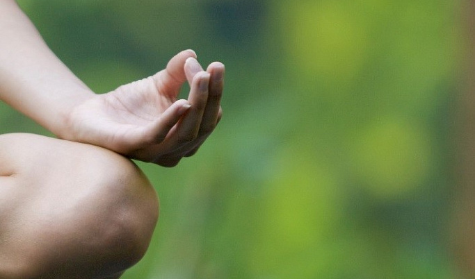 Тверитян приглашают отметить Международный день йоги