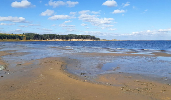 40-летний мужчина утонул в реке Молога в Тверской области
