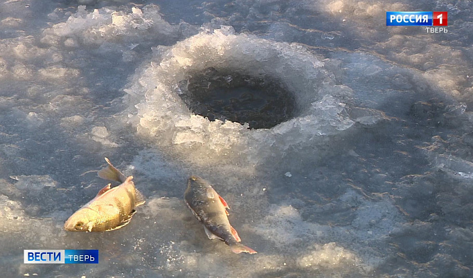 Рыбаков Тверской области предупредили об опасности выхода на лед