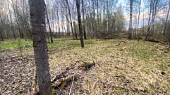 В Тверской области около деревни обнаружили труп 