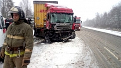 Из-за снегопада на трассе М-10 в Тверской области столкнулись фуры