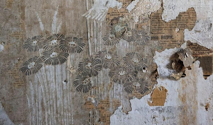 В Кимрах в Доме Кустаря нашли фрагменты обоев 1905 года