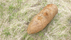 2 снаряда времен войны обнаружили в Тверской области