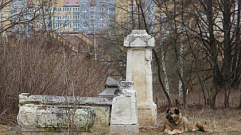 Жителей Твери просят рассказать о Волынском кладбище