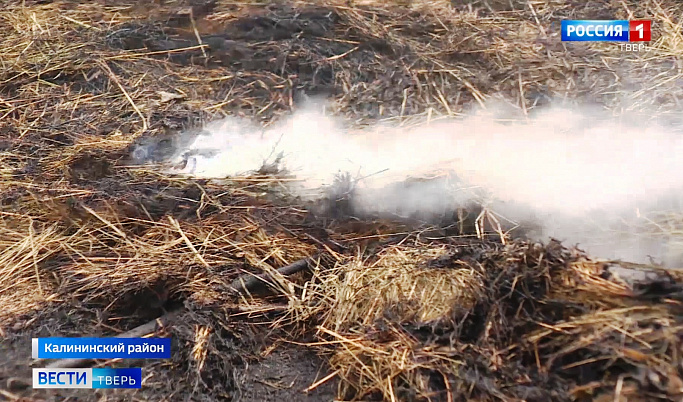 Из-за пала травы в Тверской области участились случаи пожаров 