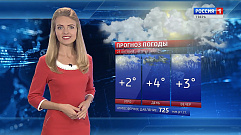 К концу недели в Тверской области возможен мокрый снег