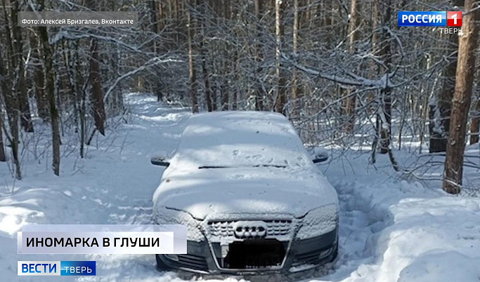 Курьер под колесами авто, одинокая «Ауди» в лесу: происшествия в Тверской области 10 марта                                                          