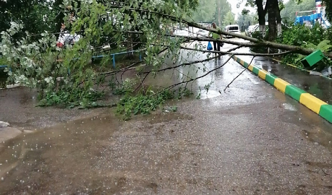 В Тверской области экстренно устраняют последствия шторма