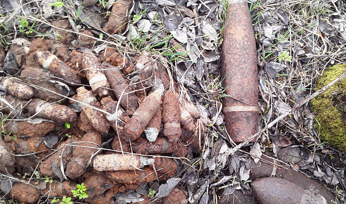 В Тверской области обнаружили 70 невзорвавшихся снарядов времен войны