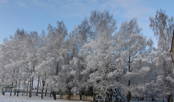 В Тверской области 24 декабря усилится ветер