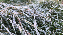 Погода в Тверской области: зима заглянет попрощаться