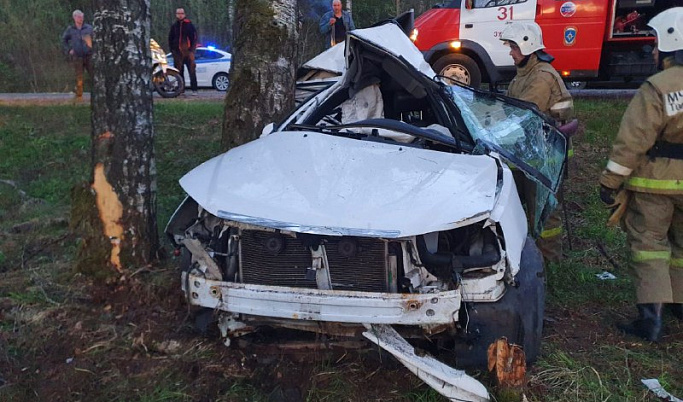 31-летний водитель погиб после столкновения с деревом в Тверской области