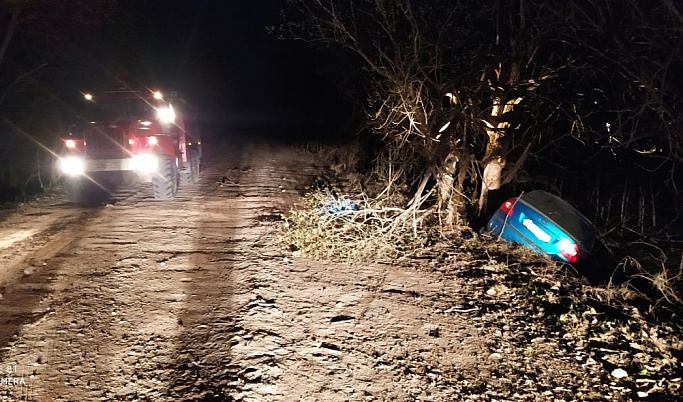 В Тверской области водитель иномарки врезался в дерево и разбился насмерть