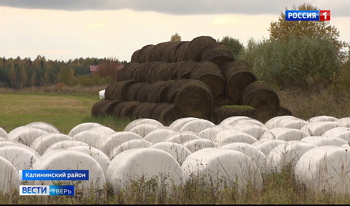 В животноводческих хозяйствах Тверской области началась подготовка к зиме              