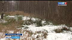 Многодетным семьям Тверской области выделяют участки в лесах и на болотах