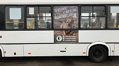 Социальная реклама в защиту животных появилась на тверских маршрутках