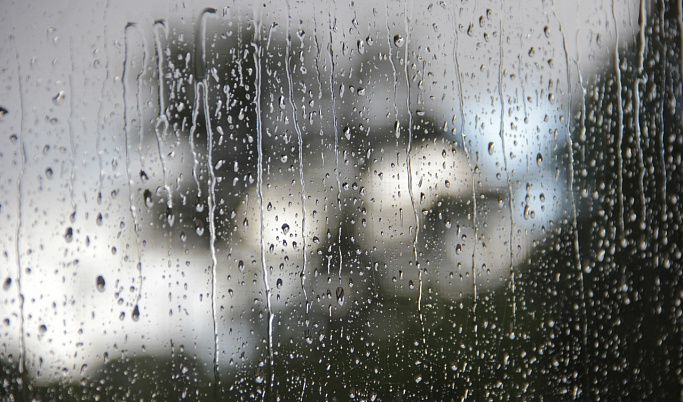 Выходные в Тверской области могут испортить дожди с грозами и сильным ветром