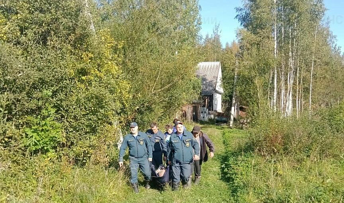 Спасатели в Тверской области вынесли из леса мужчину, которому стало плохо