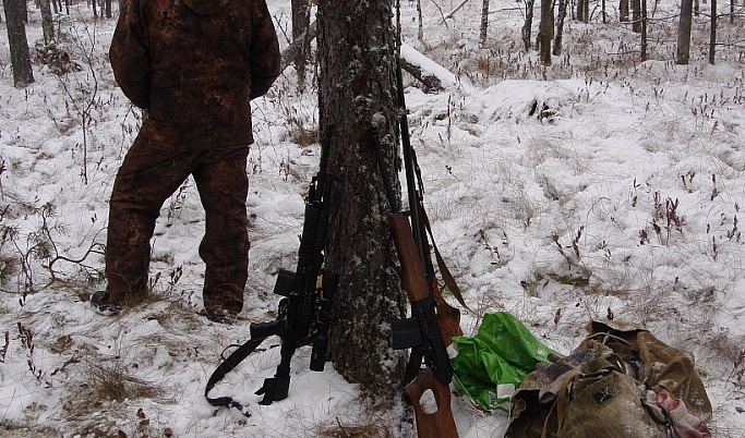 В Тверской области пресекают случаи незаконной охоты